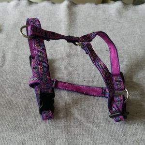 Small pet harness